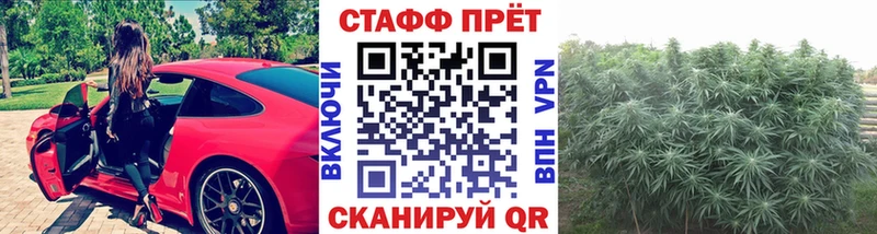 Где купить Псков Бутират  МЕФ  Гашиш  Конопля  гидра сайт  КОКАИН  СОЛЬ  АМФ 