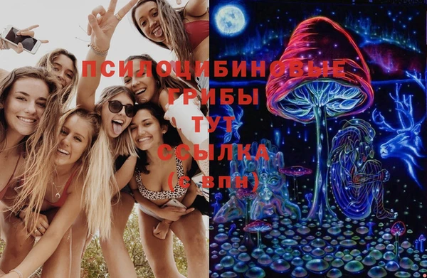 jwh Абаза
