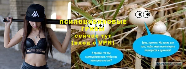 тгк Абинск
