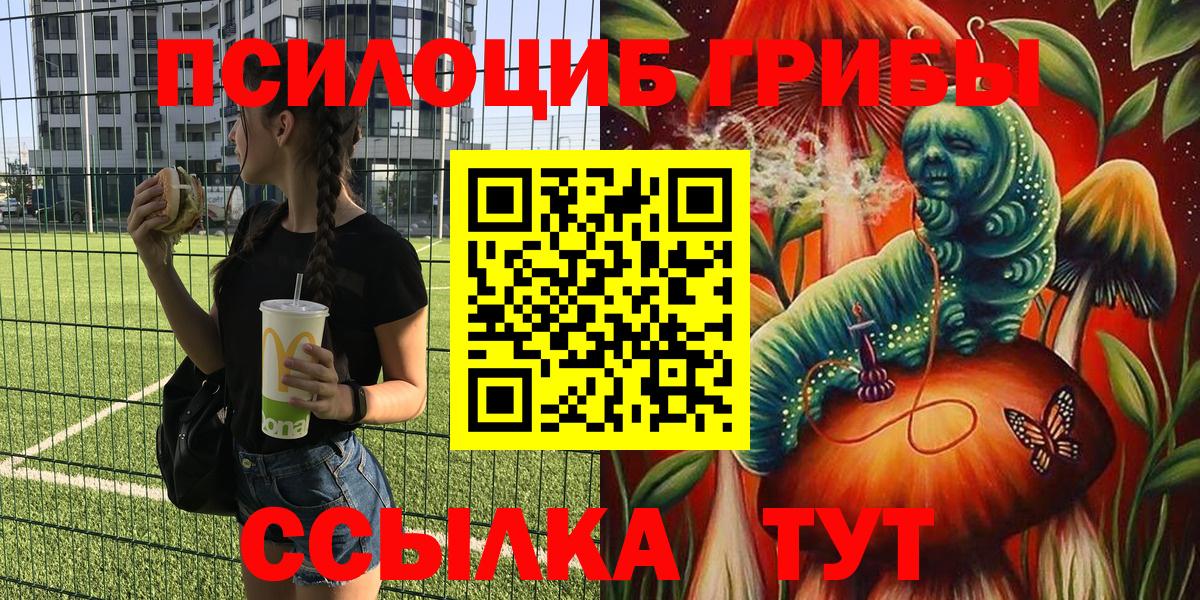 Псилоцибиновые грибы мухоморы Псков