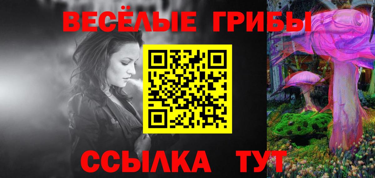 Псков  Псилоцибиновые грибы Psilocybe  Вход с VPN 